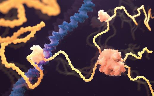 AlphaFold Unveils the Secrets of Protein Evolution