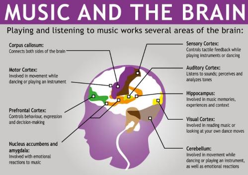 How music affects your brain and gives you chills