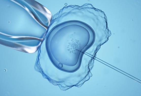 Israeli AI Algorithm Boosts IVF Success Rate by Analyzing Embryos