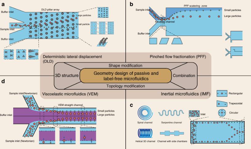 New study reveals the effects of channel geometry on Dean’s instability in microfluidics