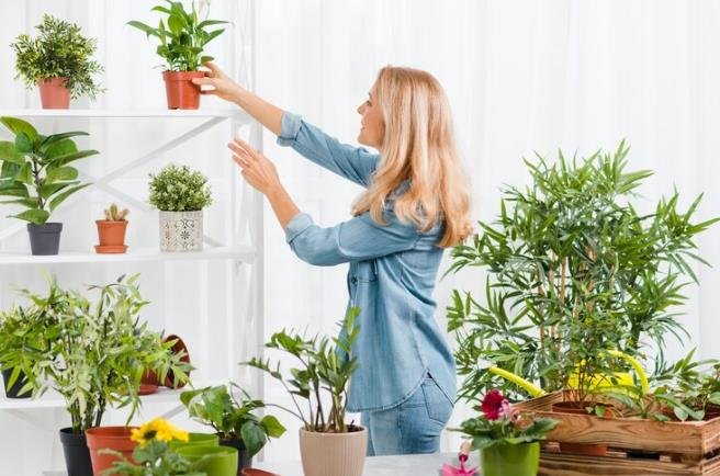 Indoor Gardening