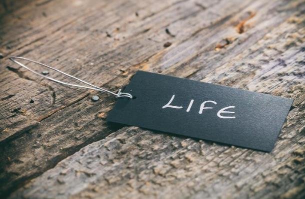 My Life as a Loser: Embracing Failure and Finding Myself