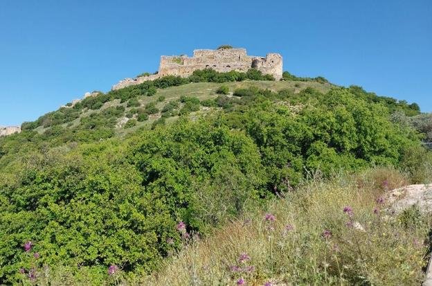 Israel National Trail extends to Mount Hermon with two new sections