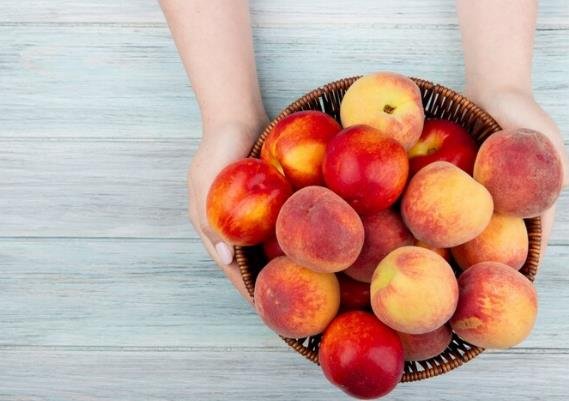 When Are Nectarines In Season? Your Ultimate Guide