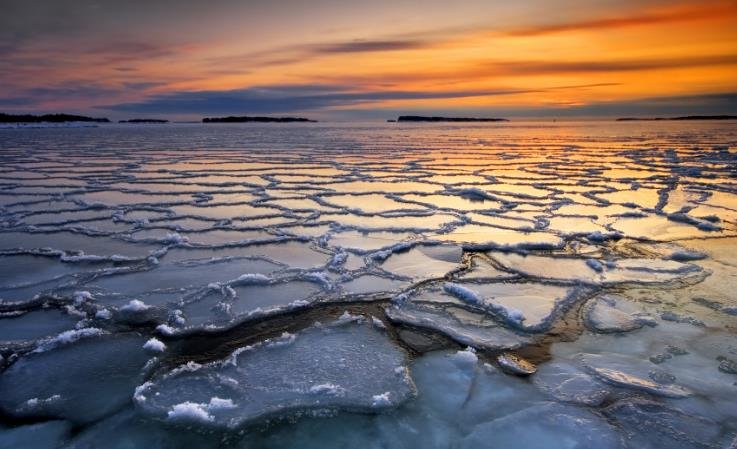 How Antarctic Sea Ice Algae Adapt to Extreme Conditions
