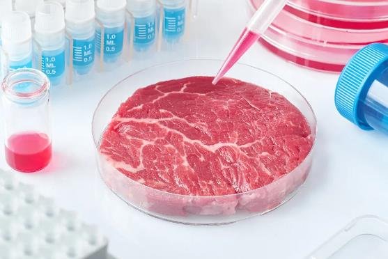 How Islamic Scholars Decided on the Halal Status of Lab-Grown Meat