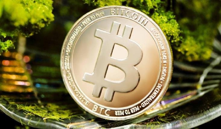 Bitcoin and Ether Prices Plunge to Multi-Month Lows Amid Market Sell-Off