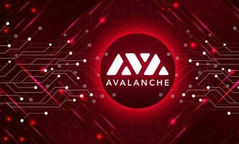 Avalanche (AVAX) Faces Potential 30% Drop After Hitting Record High