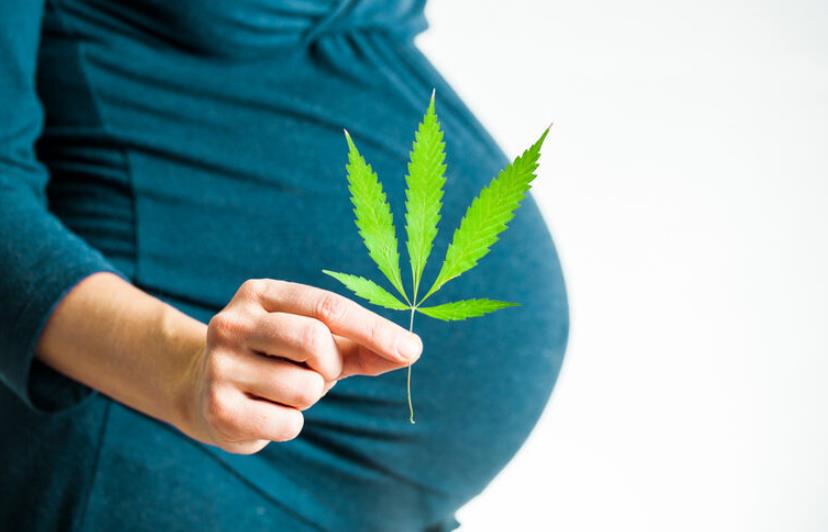 How Cannabis Use During Pregnancy Affects the Baby’s Health