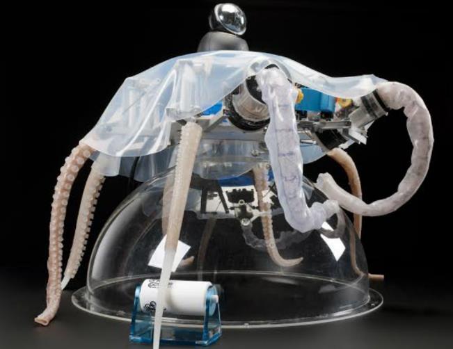 Octopus-like robot arm can pick up and carry objects with suction