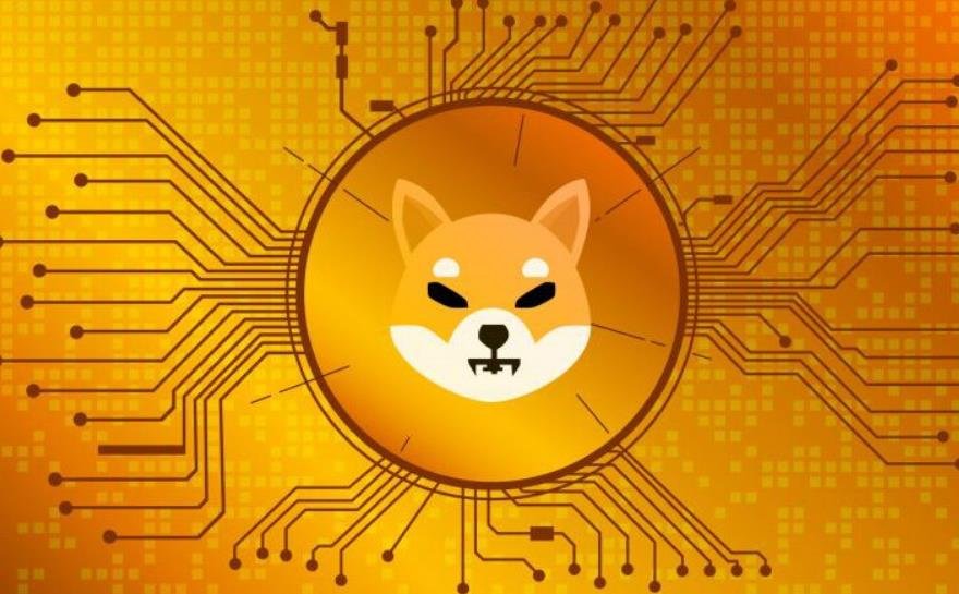Shiba Inu Token Sees Massive Whale Accumulation and Burning Spree Amid Price Drop