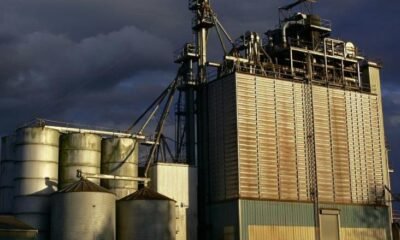 Egypt and Chinese Company New Hope Discuss $100 Million Feed Factory Investment