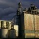 Egypt and Chinese Company New Hope Discuss $100 Million Feed Factory Investment