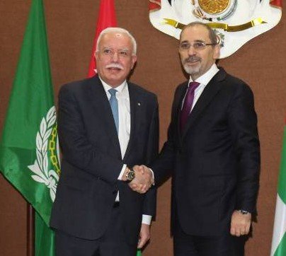 Abdullah bin Zayed and Ayman Safadi