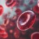 Egypt’s Hemophilia Breakthrough: From Crisis Response to Prevention Powerhouse
