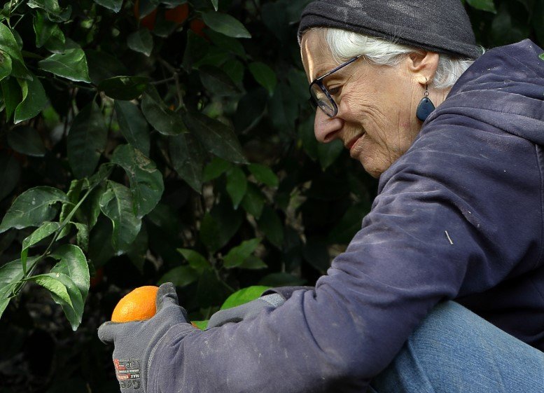 israel farm volunteers seniors helping