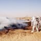 Egyptian Air Force Training Jet Crashes During Exercise, Crew Lost