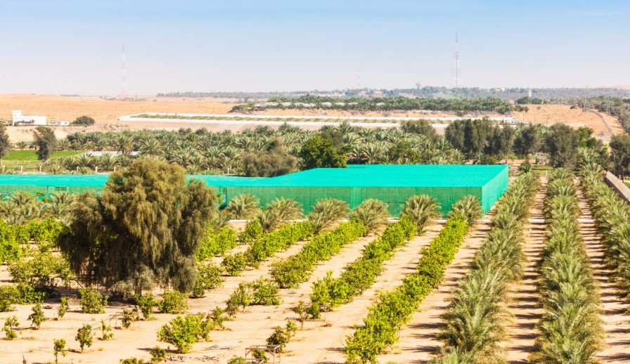 Nebraska trade delegation Egypt agriculture