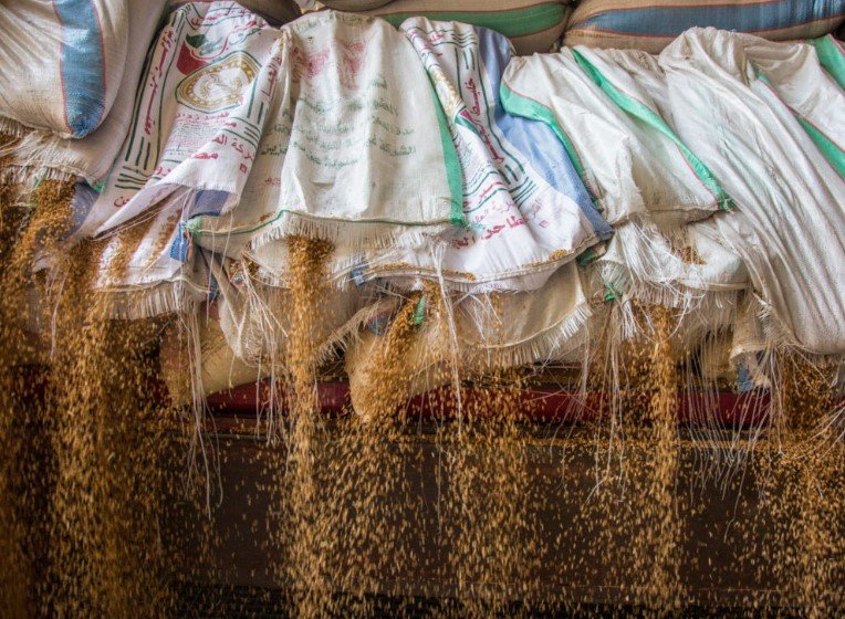 egypt wheat silos grain trade ukraine