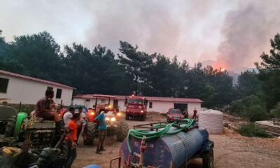 UK Issues Travel Warning as Deadly Wildfires Devastate Turkey and Cyprus