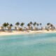 Saudi Arabia Appoints Dr. Fahd Toonsi to Lead Red Sea Tourism Authority