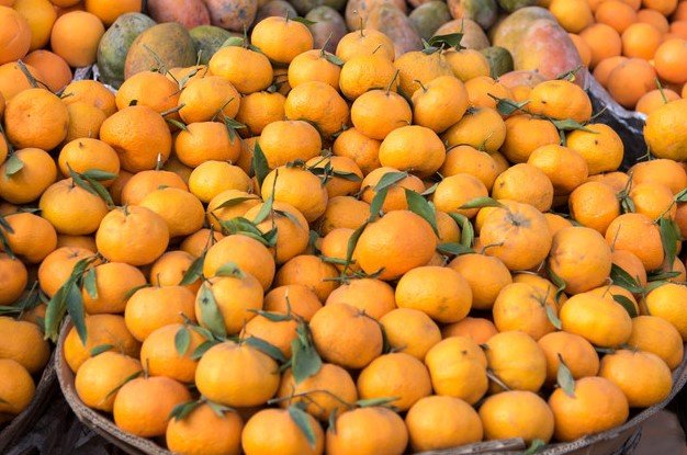 egypt agriculture exports