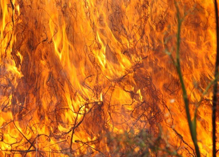 fire scene