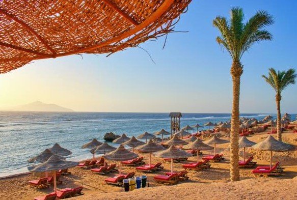red sea beach egypt