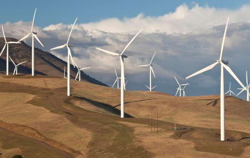 wind farm turbines