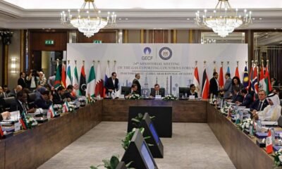 IFC Seeks Investment Officer in Cairo Egypt