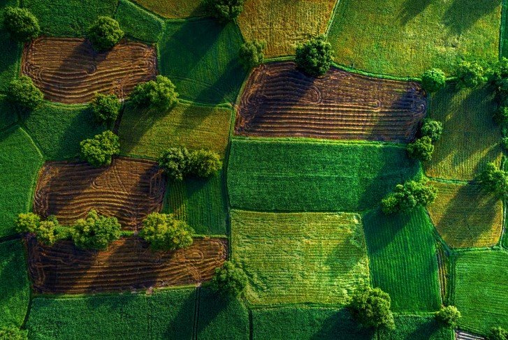 carbon market partnerships