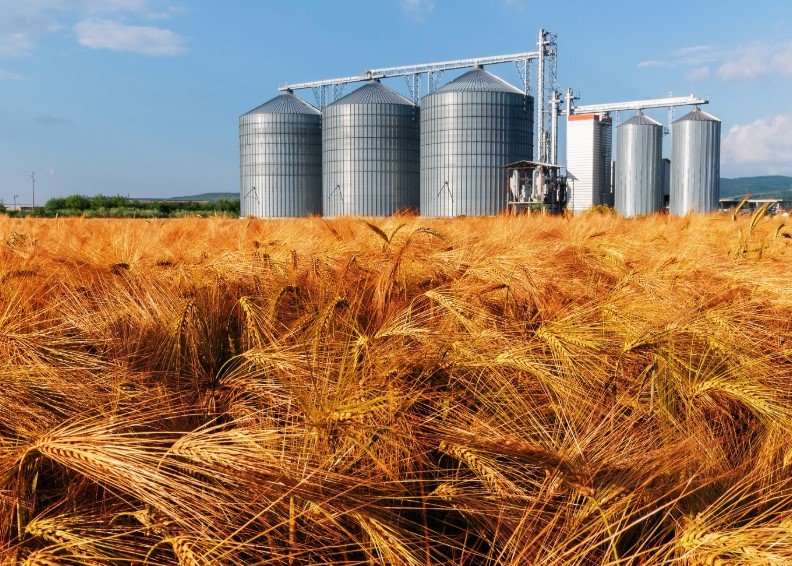 wheat silos Egypt