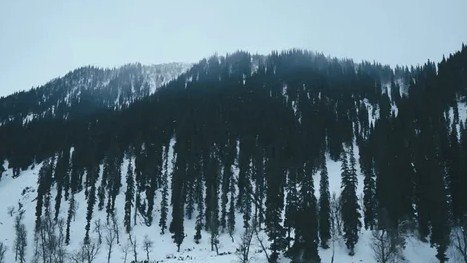 Egypt Mediterranean coast winter weather