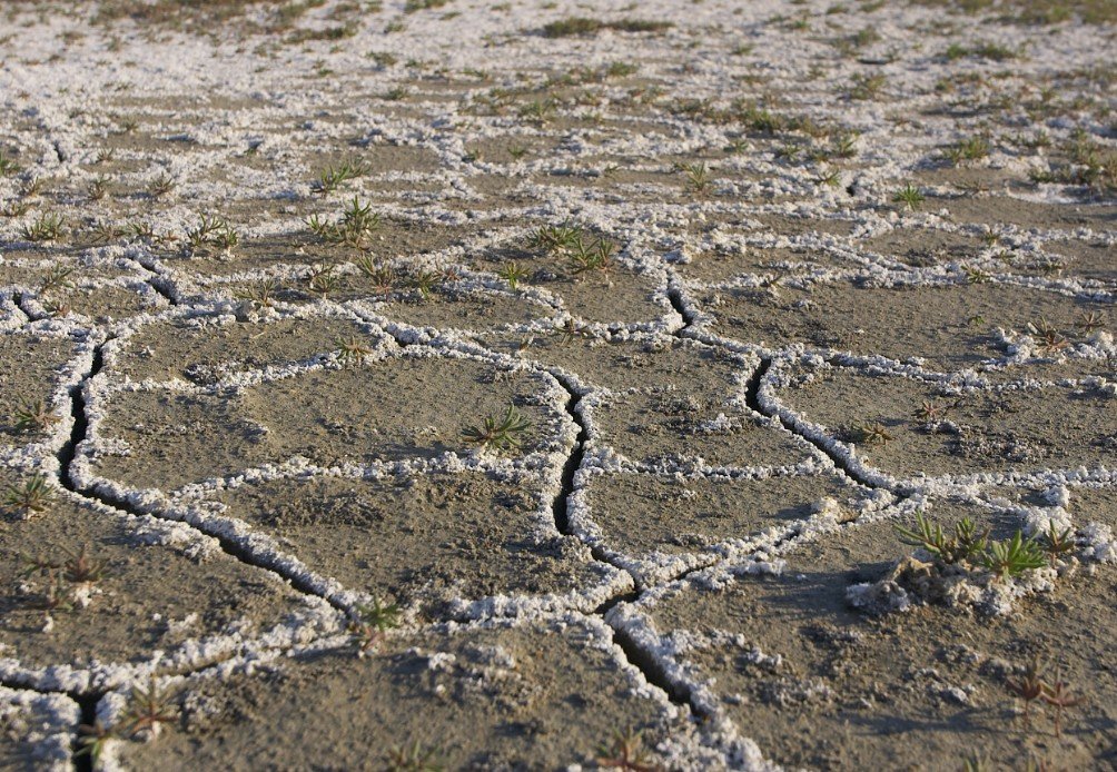 audi arabia soil types agriculture