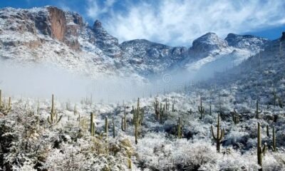Rare Snowfall Blankets Saudi Arabia Desert