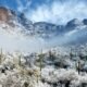 Rare Snowfall Blankets Saudi Arabia Desert