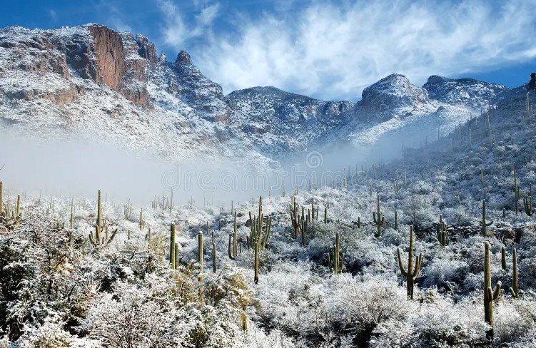 desert snowfall