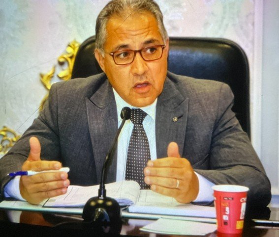 egypt pakistan foreign ministers