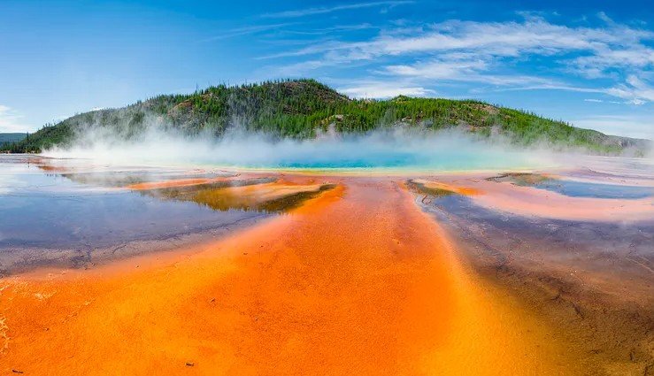 hyperthermophiles organisms