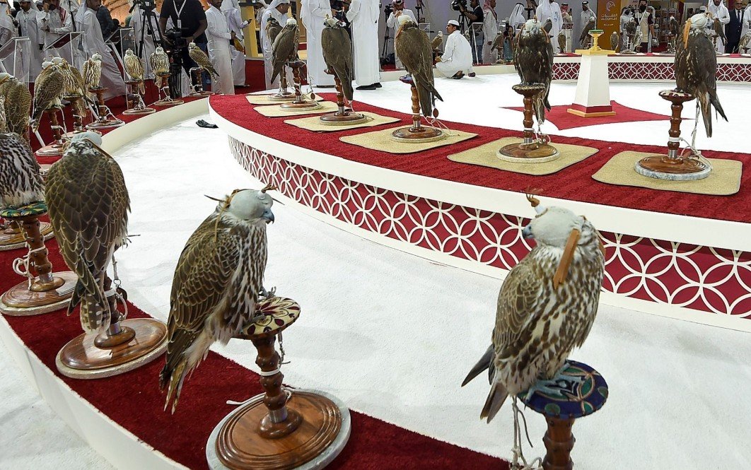 falconry festival