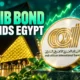 AAIB $500 million sustainability bond Egypt allocation