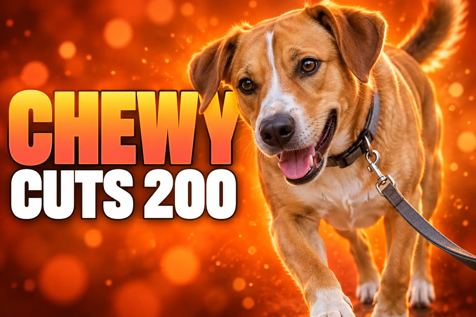 Chewy 200 employee layoff 2023 corporate jobs