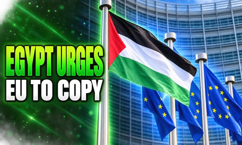 Egypt urges EU copy Belgium settlement goods ban