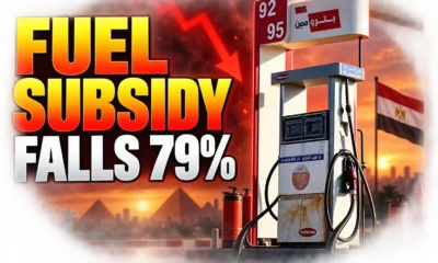 Egypt energy subsidy cut fuel electricity budget split