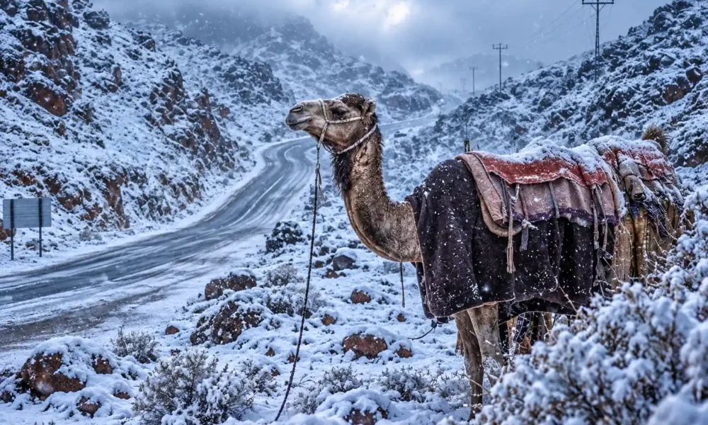 Trojena Jabal Al-Lawz snow December 17 2025