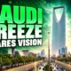 Saudi consultant freeze spares Vision 2030 spending