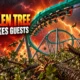 Six Flags Over Georgia fallen tree four guests injured
