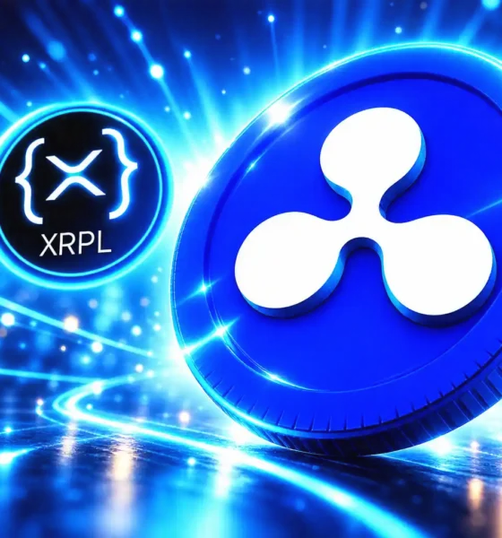Ripple Arf RLUSD settlement liquidity XRP Ledger